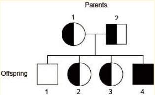 Answer !  sickle cell anemia is known to run in a family. a pedigree chart for this fami