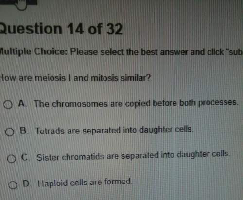 How are meiosis i and mitosis similiar