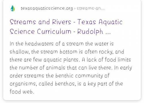 How does stream order influence aquatic food webs?