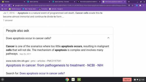 How does apoptosis relate to cancer cells?

A. In cancer cells, too much apoptosis occurs, resulting