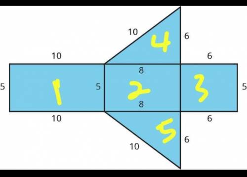 Can someone help me? In this net, the two triangles are right triangles. All quadrilaterals are rect