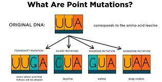 DNA Fill the blanks

- A  is a change in DNA that may result in a malformed protein
-A  mutation occ