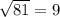 \sqrt{81}  = 9