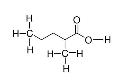 Draw 2-methylpentanoic acid. include the hydrogen atoms in your structural formula.