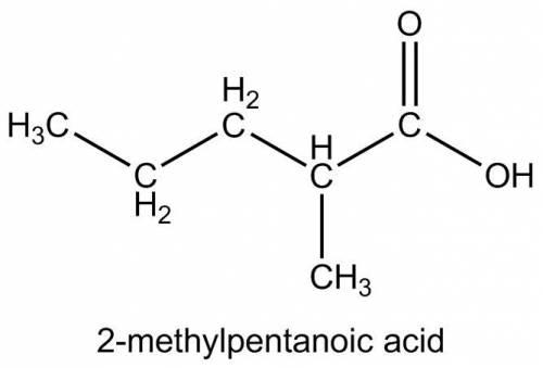 Draw 2-methylpentanoic acid. include the hydrogen atoms in your structural formula.