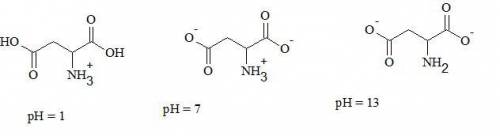 Draw aspartic acid (aspartate) at ph 1, ph 7, and ph 13. include hydrogen atoms.
