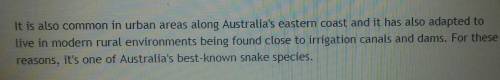 Why do red bellied black snakes live in the easternboard of australia