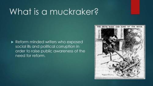 ILL GIVE What are some issues in your community today that you think a muckraker would have been int