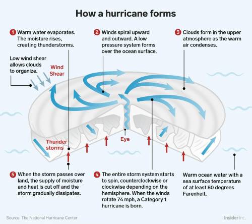 Place the events that form hurricane-force winds in order.
a. A thunderstorm cluster forms
b. warm m