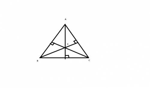 Which best describes the circumcenter of a triangle ?   a. the point where the three angle bisectors