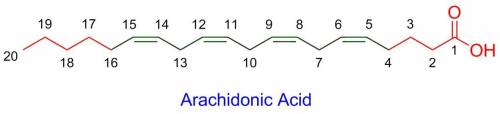 Arachidonic acid (5z,8z,11z,14z-eicosatetraenoic acid) is an eicosanoid, a fatty acid containing 20 