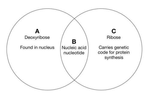 Using the venn diagram provided, in which section would you place the following descriptors: