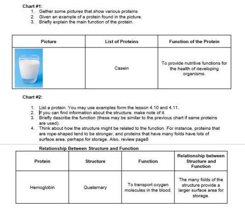 Picture list of proteins function of the protein i need proteins such as milk i can use