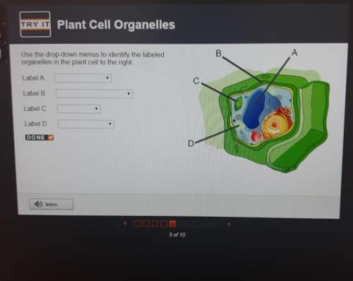 Use the drop down menu's to identify the labeled organelles in the plant cell to the right