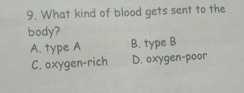 What kind of blood gets sent to the body