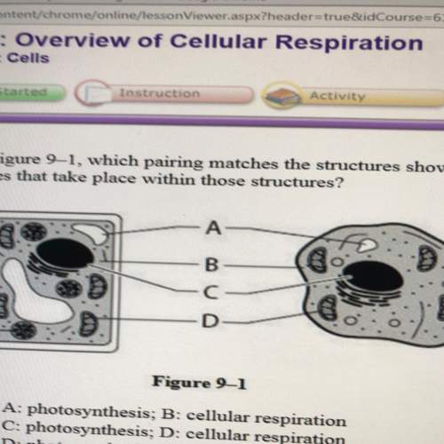 1. which pairing matches the structures shown in the cell diagrams with th processes that take