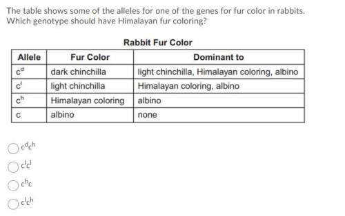 The table shows some of the alleles for one of the genes for fur color in rabbits. which genotype sh