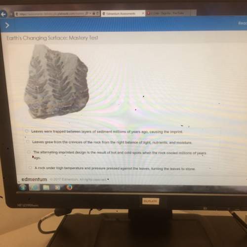 ms.jones brought this rock to her science class and instructed her students to explain how it