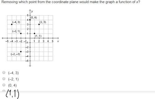Removing which point from the coordinate plane would make the graph a function of x?  (–