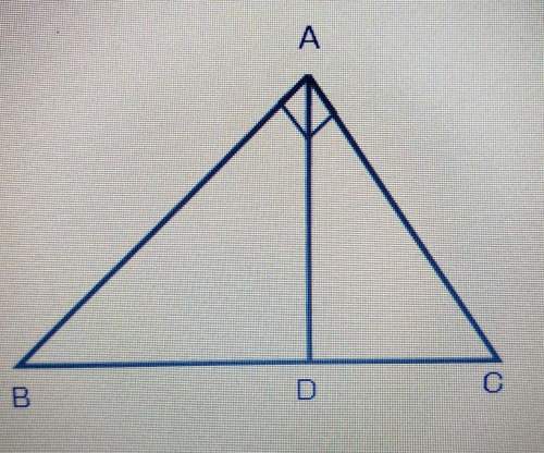 Seth is using the figure shown below to prove pythagorean theorem using triangle similarity. in the
