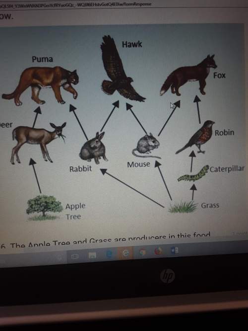 Many food chains can be found in this food web describe a food chain from this food web that include
