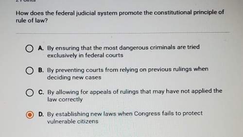 How does the federal judical system promote the constitutional principle of rule of law ?