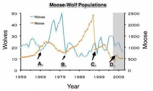 What point on the graph represents the outbreak of moose ticks and a drastic decline in the moose po