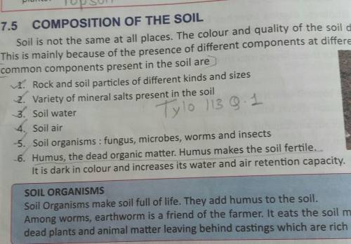 What are the components of soil