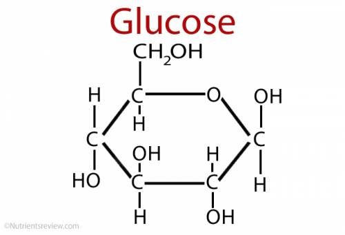 Glucose is a carbohydrate that is made by plants and used by both plants and animals to produce ener
