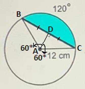 Find the area of the shaded segment of the circle.
(Round to the nearest tenth as needed.)