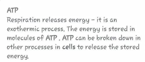 What molecule is energy stored in the process of respiration