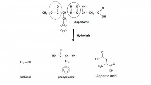 If aspartame is successfully hydrolyzed, the products are methanol, phenylalanine and aspartic acid.
