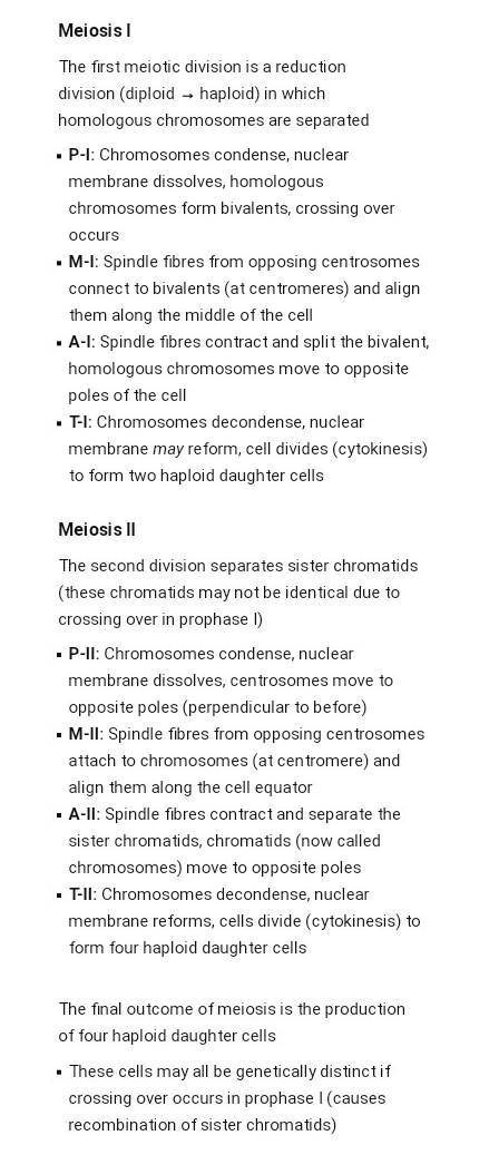 List the steps of meiosis II: use your notes/slideshow
Click to add subtitle