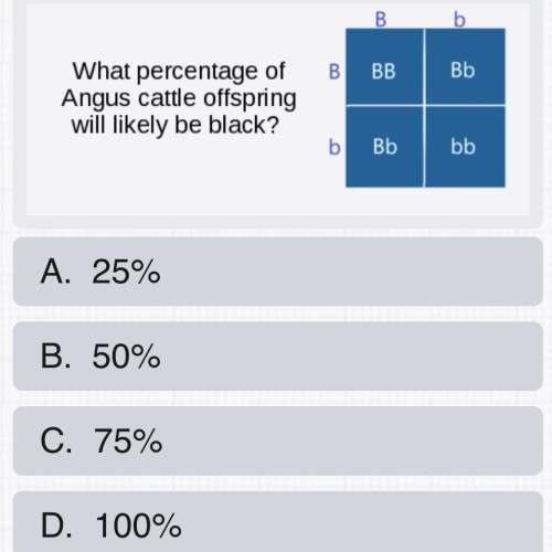 What percent of angus will be black?