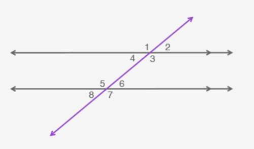 (02.06)the figure shown has two parallel lines cut by a transversal: