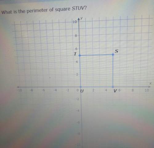 What is the perimeter of square stuv