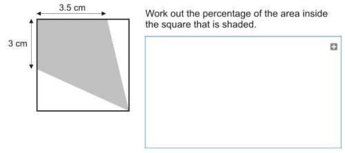 The diagram shows a square with perimeter 20cm.