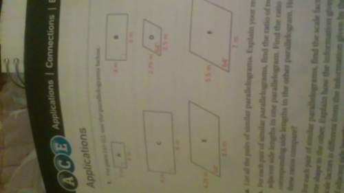 List all the pairs of similar parallelograms
