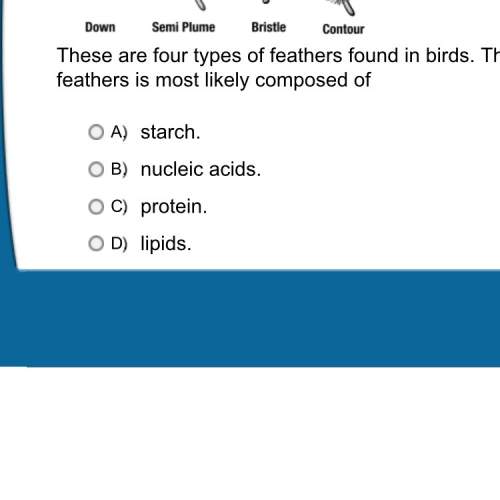 These are four types of feathers found in birds. the structure of these feathers is most likely comp