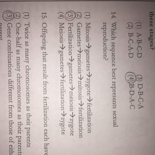 Why is 4 the correct answer to number fourteen ? explain why and answer this