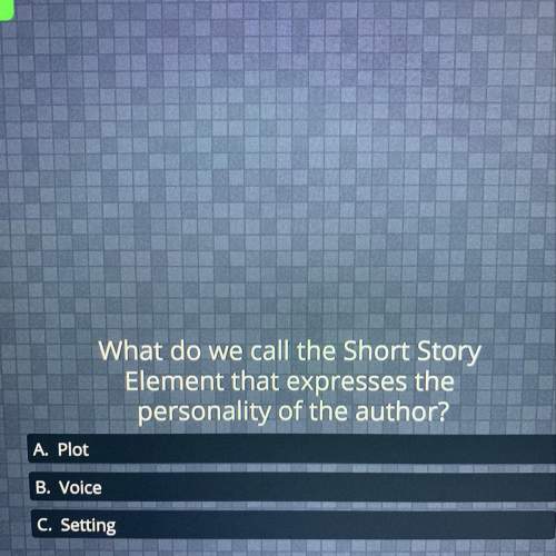 What do we call the short story element that expresses the personality of the author?