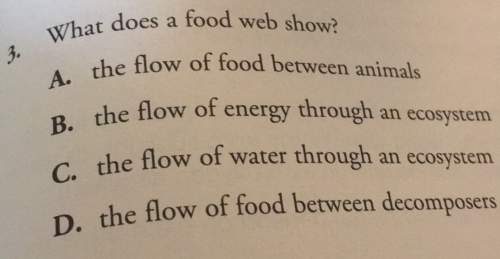 Does a food web show? whate flow of food between animalsb. the flow of energy through an ecosystemo,