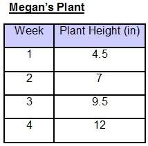 Megan and suzanne each have a plant. they track the growth of their plants for four weeks. whose pla