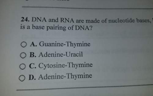 Dna and rna are made of nucleotide bases, but they are slightly different. which is a base pairing o