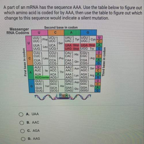 Apart of an mrna has the sequence aaa. use the table below to figure out which amino acid is coded f