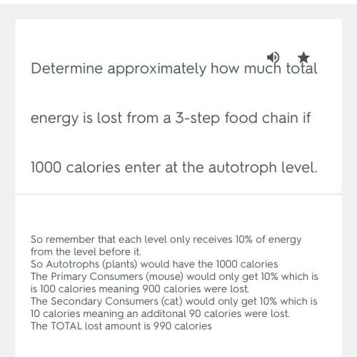 How many total energy is lost if there are approximately 1000 calories added at the autotroph level