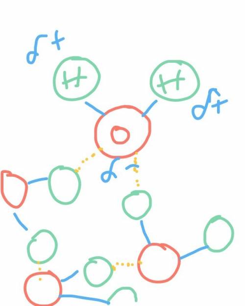 What type of bonds exist in a molecule of water?  polar covalent bonds ionic bonds hydrogen bonds va