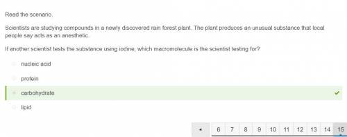 Scientists are studying compounds in a newly discovered rain forest plant. the plant produces an unu