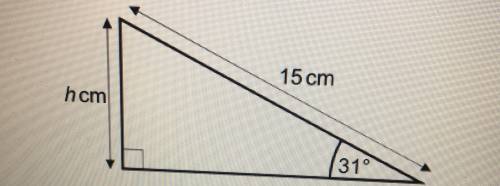 The diagram shows a right-angled triangle.

15 cm
hcm
31
What is the value of h?
Give your answer co