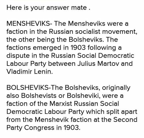 How is bolsheviks party and mensheviks party different class 9